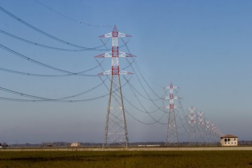 Taglio piante in prossimità di linee elettriche di alta tensione